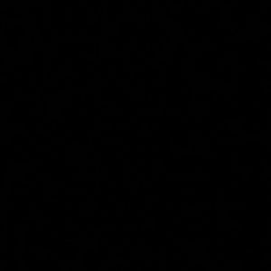 Meet your Posher, Bruno